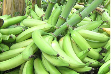 Verduras